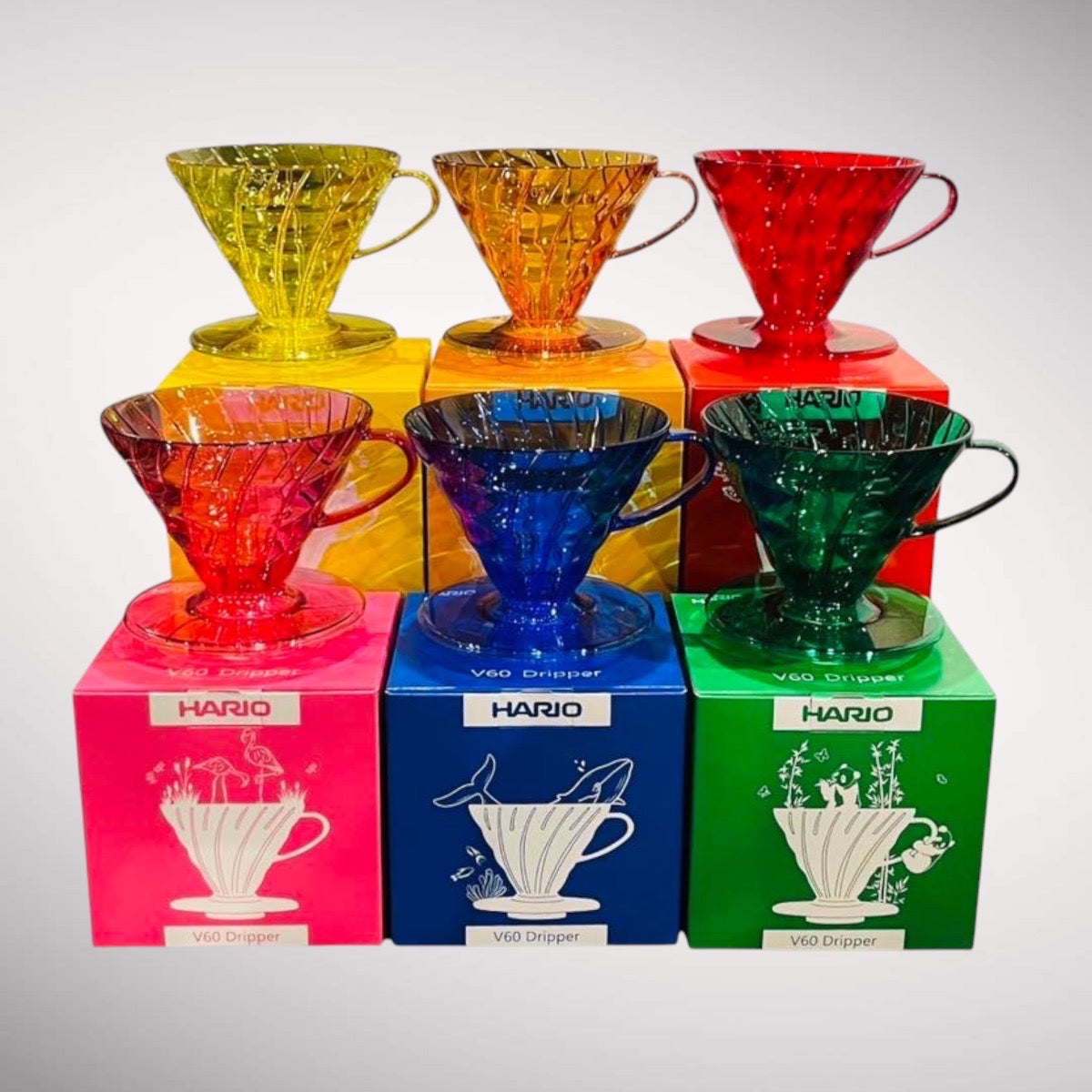 Hario Kaffeefilter bunt