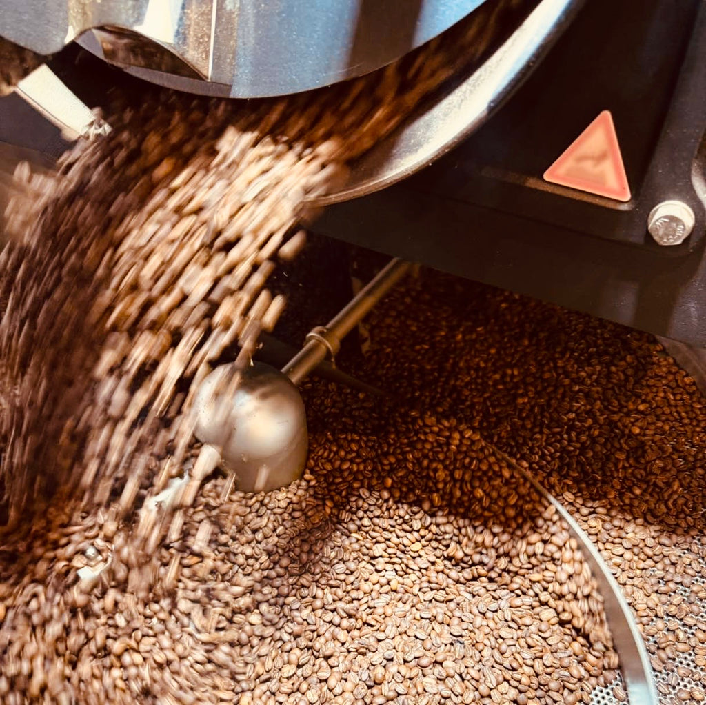 Brasil Yellow Bourbon