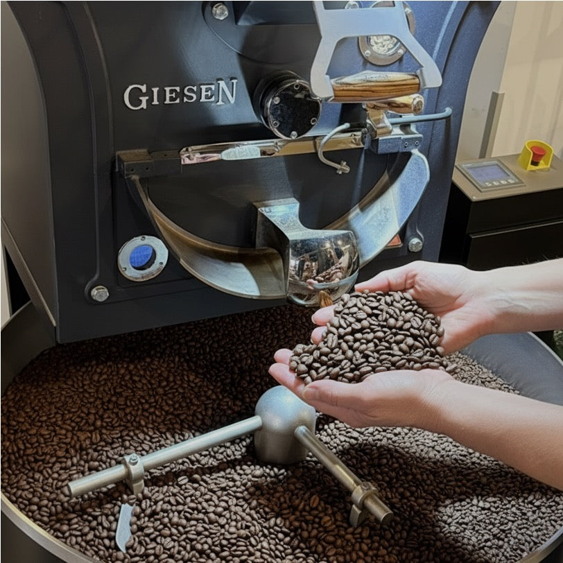 Präsentation von frisch gerösteten Kaffeebohnen vor Kaffeeröstmaschine