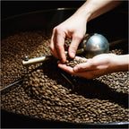 Espresso-Probierpaket L - 1.500 g
