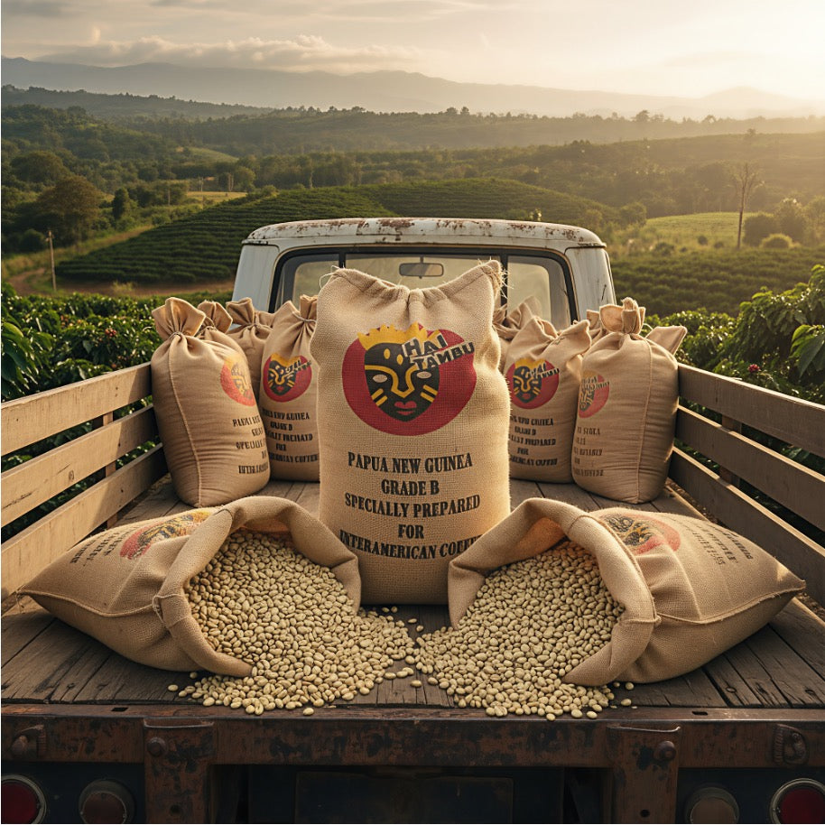 Original Kaffeesäcke mit Rohkaffeebohnen  verladen auf Pick-up, mit Blick auf das Hochland von Papua Neuguinea